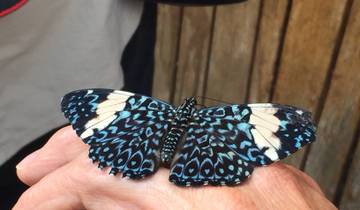 6 Day Ecuador Amazon Itinerary, incl. Cuyabeno Reserve and Coca