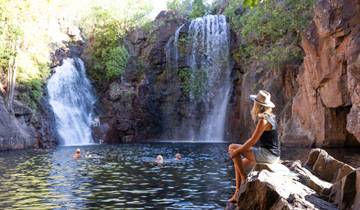 Parc national de Litchfield et excursion d\'une journée dans la nature circuit