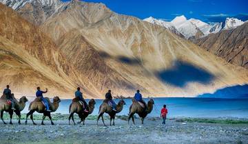 Golden Triangle with Leh & Ladakh