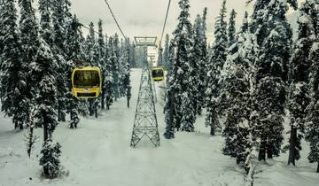 Gouden Driehoek met Gulmarg-rondreis