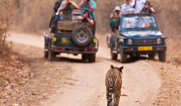 India Heritage and Wildlife