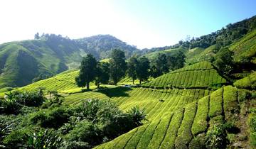 21 Days in Southeast Asia, incl. Bangkok and Singapore