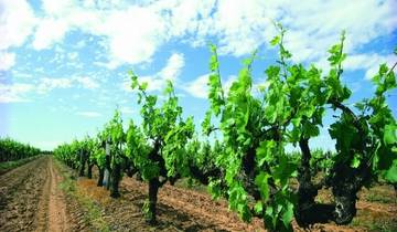 【Perth】7 Days All-Inclusive Touring Grand Packages