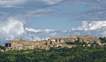 Tuscany Private Experience: Food and wine among villages and art Tour