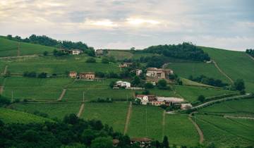 Piedmont Private Epxerience: land of grapes, truffle and history