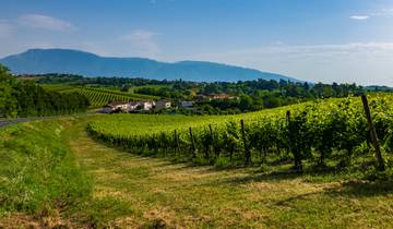 Veneto: the Alps, Prosecco wine, amazing villas and Adriatic Sea Tour