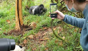 4 Tage Uganda Gorilla & Schimpansen Trekking Reise Rundreise