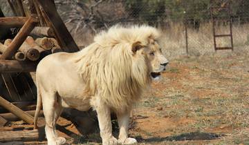 Splendors of South Africa & Victoria Falls with Chobe River Cruise