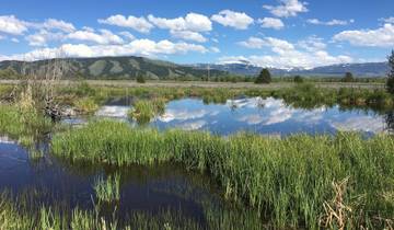 Von Spring Creek nach Green River Lakes