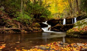 Hoge pieken en oerbossen van de Smokies