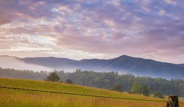 Best of Smokies and Asheville Tour