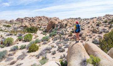 Best of Death Valley and Joshua Tree Tour