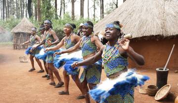 Lo mejor de Nairobi: circuito de un día desde Nairobi al centro de la jirafa, el orfanato de elefantes, la Fábrica de Abalorios Kazuri y las Bomas de Kenia