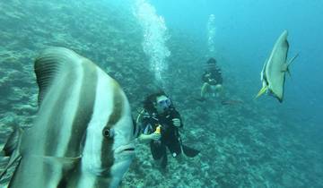 8 Days in Maldives, incl. Maafushi and Male