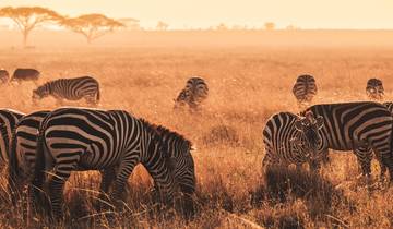 3 Days – Serengeti and Crater Shared Safari Tour