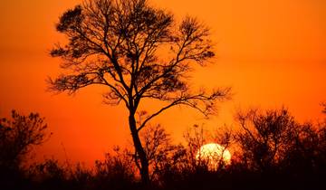 3 Days in South Africa, incl. Cape Town and Kruger National Park