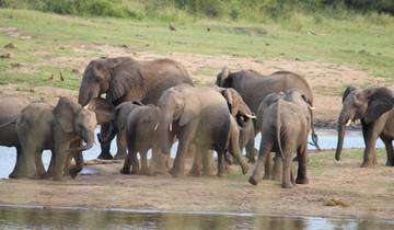 2 Days Best Ever Kruger National Park Safari from Cape Town Tour