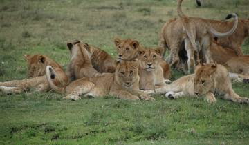 5-Days Tanzania Group Safari