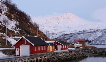 Norvège Fjords et aurores boréales (à partir de novembre 2025, 7 jours)