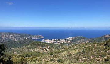 7 Days in Mallorca, incl. Port de Sóller and Palma