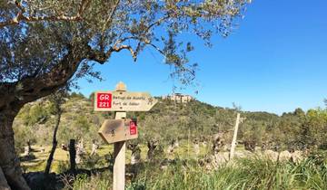 7 Days in Mallorca, incl. Port de Sóller and Palma