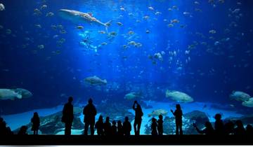 Daily Aquarium Tour Istanbul Tour