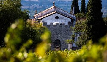 Circuito Friuli-Venecia Julia: Experiencia privada para descubrir los vinos y sabores de una tierra única