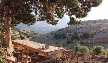 Un Liban évocateur : Peuple, histoire et paysages (8 destinations)