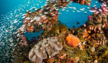 Tropical Cairns et la Grande Barrière de Corail - 6 jours