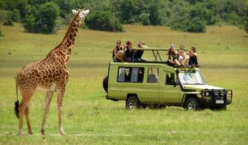 14 Day Kenya Safari Itinerary, incl. Masai Mara and Amboseli