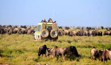 11 Day The Serengeti & Beyond: A Tanzania  Safari 4X4 Jeep Safari Tour