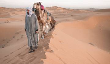 3 Days Sahara Adventure (Fes / Marrakech) Tour