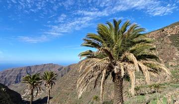 La Gomera – een individuele wandeltocht – het beste van GR 132 – 8 dagen-rondreis
