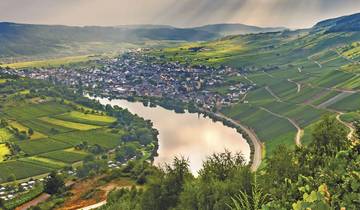 Charming Castles & Vineyards of the Rhine & Moselle (Start Frankfurt, End Basel) Tour