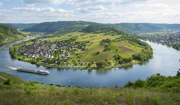 Charming Castles & Vineyards of the Rhine & Moselle (Start Zurich, End Frankfurt) Tour