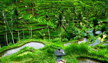 Explore Bali\'s Hidden Gems on a Spectacular 15 days Road Trip Tour