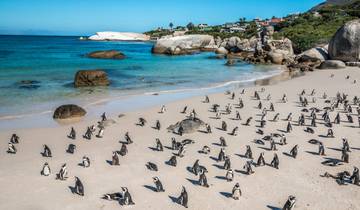 3 Day on South Africa's Garden Route Itinerary, incl. Cape Town and Oudtshoorn