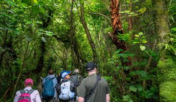 New Zealand Uncovered (Northbound) (30 destinations) Tour