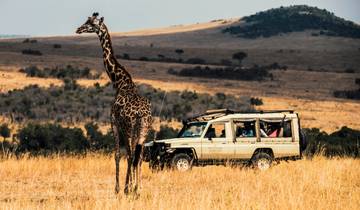 Circuito Safari por la naturaleza en Kenia