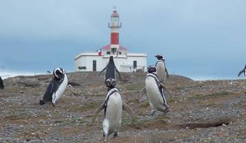 5 Dagen Punta Arenas ontdekken, de meest zuidelijke stad van Chili & de Straat van Magellan!