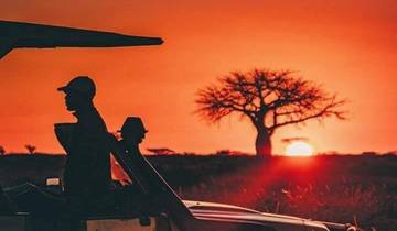 Luxueuze & authentieke safari door het nationaal park Serengeti - 4 dagen