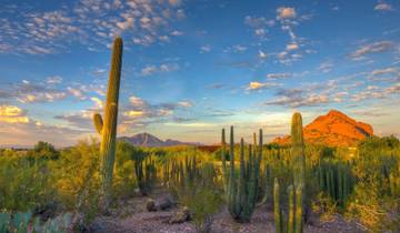 8-Day Scenic Grand Canyon & Arizona Adventure: Canyons, Deserts, & Historic Towns