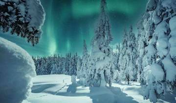 Lapland: A Winter Adventure Tour
