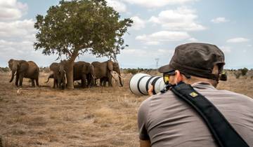 10 Days Kenya Wildlife Photographic Private Safari