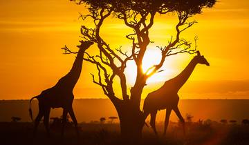 8 Days Masai Mara Photographic Private Guided Safari Adventure Tour