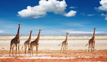 20 Day Southern Africa Itinerary, incl. Victoria Falls and Cape Town