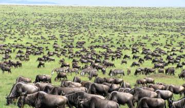 5 Days Masai Mara Photographic Safari Holiday