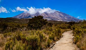 Combine Safari, Kilimanjaro Hike and Materuni Tour Tour