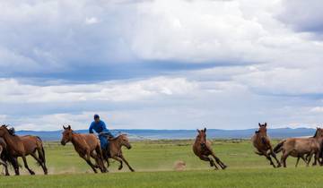 7 Days in Mongolia, incl. Ulaanbaatar and Orkhon Valley
