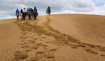 7 Days in Mongolia, incl. Ulaanbaatar and Orkhon Valley